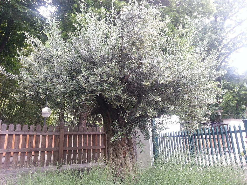 Frühstückspension Jasmin 3*